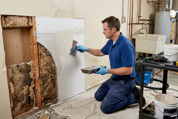 Mold and Drywall Repair Banning