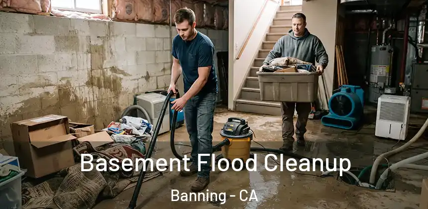  Basement Flood Cleanup Banning - CA