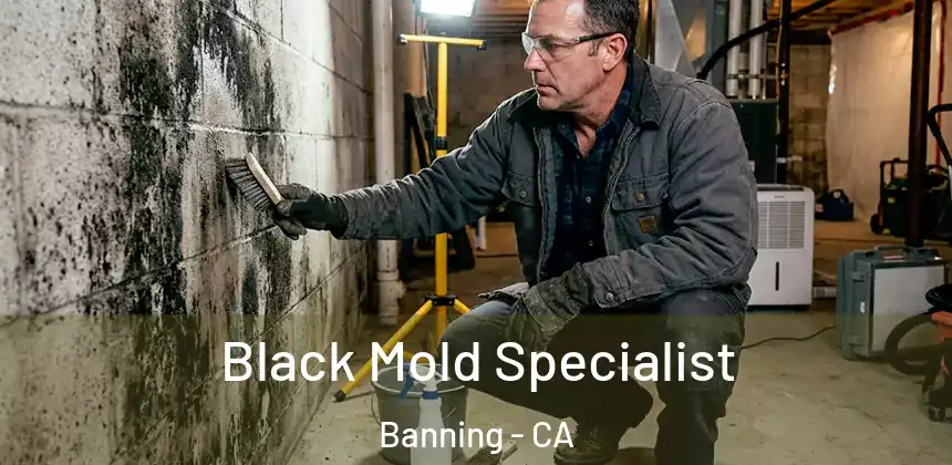  Black Mold Specialist Banning - CA
