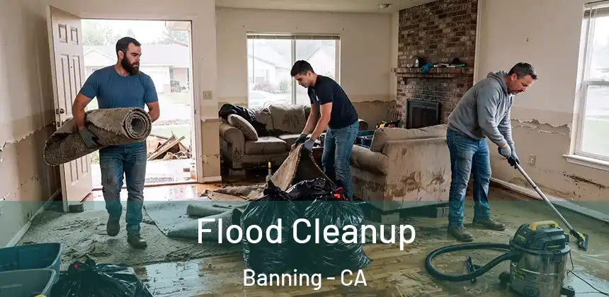  Flood Cleanup Banning - CA
