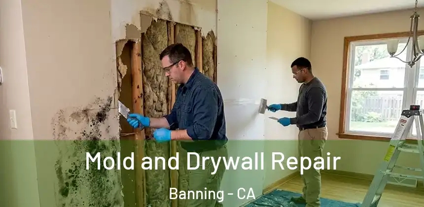  Mold and Drywall Repair Banning - CA