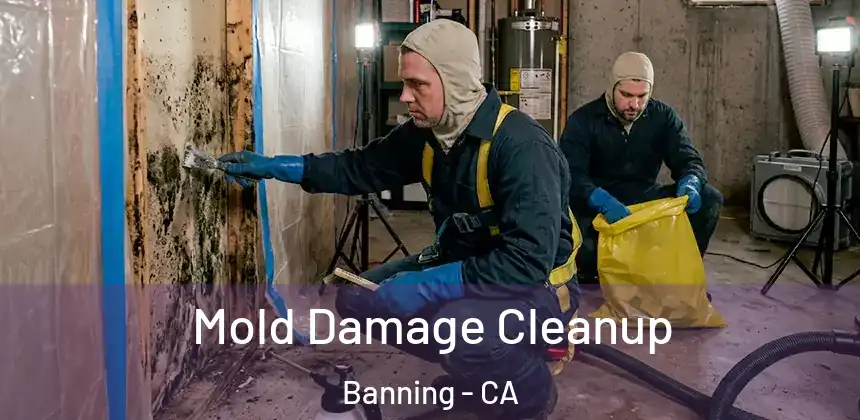 Mold Damage Cleanup Banning - CA
