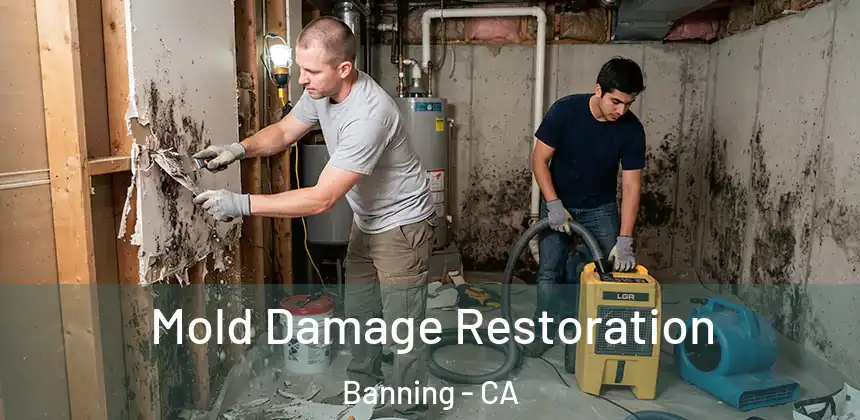 Mold Damage Restoration Banning - CA