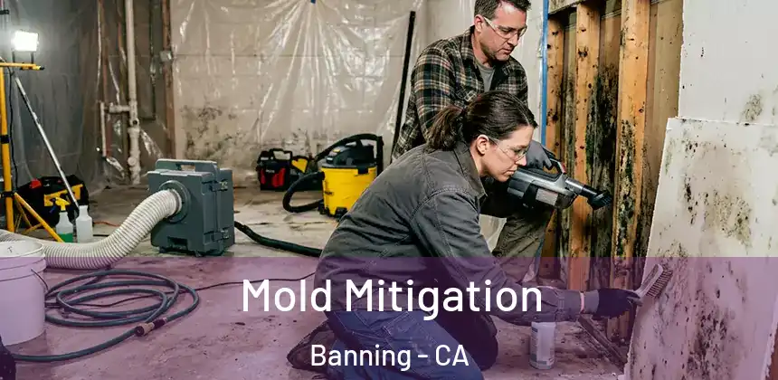  Mold Mitigation Banning - CA