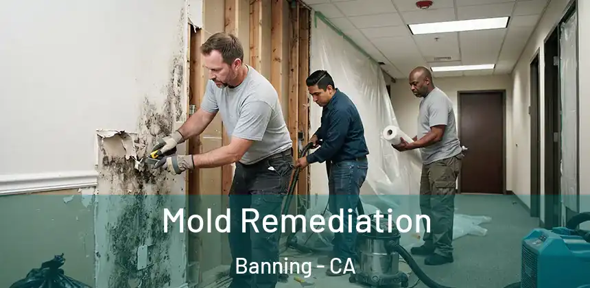  Mold Remediation Banning - CA