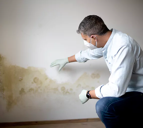 Mold Removal Service in Banning, CA