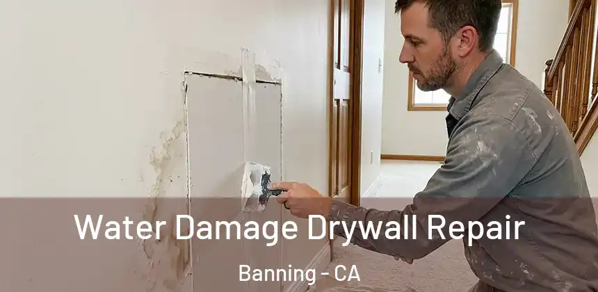 Water Damage Drywall Repair Banning - CA