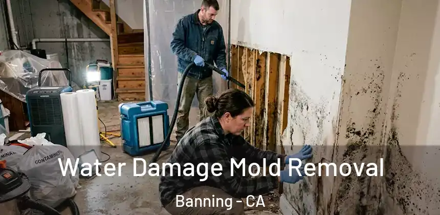  Water Damage Mold Removal Banning - CA