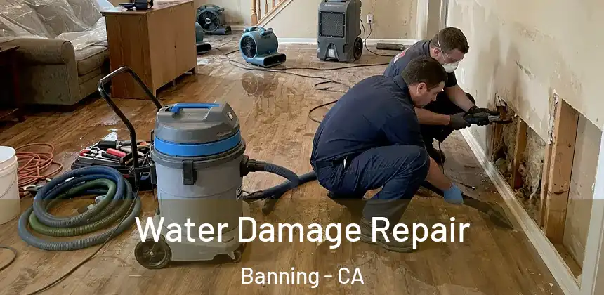  Water Damage Repair Banning - CA