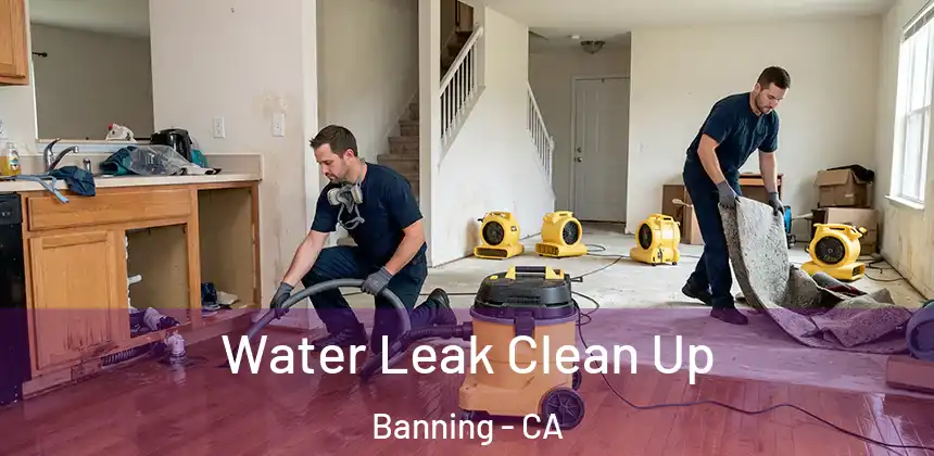  Water Leak Clean Up Banning - CA